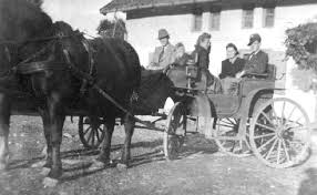 022-0126 Kleine Sonntagsfahrt mit Bauer Hans Schulz 1942. In der Kutsche von links Gerhard Schulz, Elsbeth Schulz ...