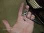 Windshield Replaced -