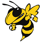 Georgia Tech Football Pictures and Images