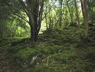 the rarest habitat type in - via Daymix