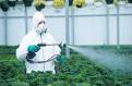 Fungicides A Vicinity of A Disease Management Program | Fungicides