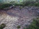 Anthropocene upper strata - via Daymix
