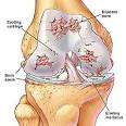 Degenerative Joint Disease