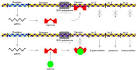 High School Modules | Cyberinfrastructure for Biological ... 