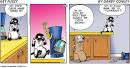 Flickr: Bucky Katt