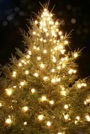 مجموعة صور لأجمل ـشجرة عيد الميلاد - صفحة 2 Images?q=tbn:ANd9GcQqLjsvgkbAoMLvohGksZ6oCO0IL9PiQOgBrqq8xC-yVw5CZzJm
