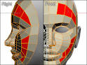 3D model of a face in 3D
