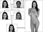 Effects of stress on human mating preferences: stressed ...