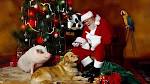 Christmas christmas 1920x1080 HD Wallpaper   Jootix Wallpapers