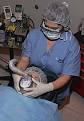 Dr. Quintia, Oral and Maxillofacial Surgeon