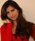 Hardeep Chahil-Miss Michigan, Hardeep compete Miss India USA pageant, Dec. - hardeep6