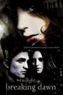 10. 《暮光之城：破晓(上)》(The Twilight Saga：Breaking Dawn-Part 1)