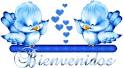 Imagenes para T! <b>Bienvenido</b>, barras, etc - Taringa!