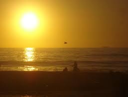 http://t2.gstatic.com/images?q=tbn:ANd9GcQrT7kzVF9ViYUJTW1ObSFIoP6b0nuIKlnx9VCMcVUQV3wcctCXGA