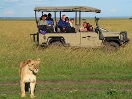 Kenya Safari