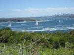 File:Wild oats xi city index leopard skandia going through heads ...