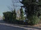 Wilton Wood Spinney Nature reserve, Wilton Wood Road, Frinton-on-Sea - via Daymix