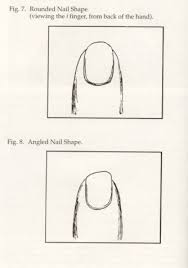 nail shape