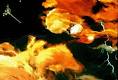 Archaea