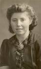 Stamboom van de familie Houkes / Haukes