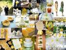 Lemon and Lime COLOR HELP       Weddingbee Boards