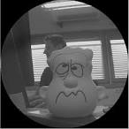 Let's say hello to our new team member, Fred Mario's Tiny Lab