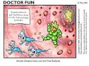 <b>Antioxidanter</b>