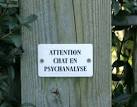 ATTENTION CHAT EN PSYCHANALYSE - via Daymix