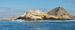 Whale Watching at the Farallon Islands