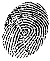 Fingerprinting Chicago