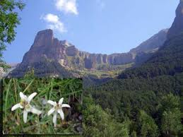 los pirineos