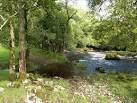 NX4469 : Penkiln Burn upstream of Kevin's Pool - via Daymix