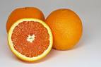 Rutaceae | <b>Citrus sinensis</b>
