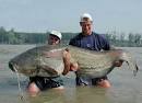 Latest Stock Plunge: Another Fish That Will Get Away? | NewsReal Blog
