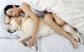 Gambar: http://t2.gstatic.com/images?q=tbn:ANd9GcQuEK35seoHm3suqzeMYCUrA4xDUEEivQnAjMveRxqm3O4IA1066g