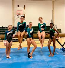 middle school girl gymnast|The official blog of journalist RJ Walters - WordPress.com