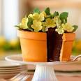 Mrs. Field's - Sam Godfrey Flowerpot Cake