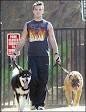 robbie williams dogs