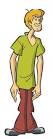 Image Scooby Doo cartoon Shaggy.jpg Picture