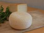 RomaNatura: Cheese: Caciotta Cheese
