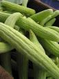 Armenian cucumber - Wikipedia, the free encyclopedia