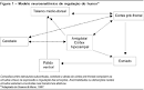 nos <b>transtornos afetivos</b>