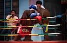 Orangutan Boxing Matches Held in Thailand | Oddity Central ...