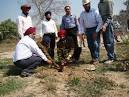 Eco Sikh Initiative ~ 1,38810 trees to be planted in memory of Sri ... 