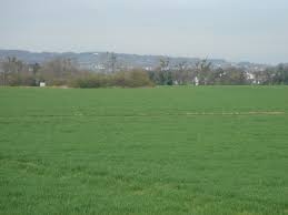 Image result for feld