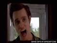 Pet Detective Ray Finkle