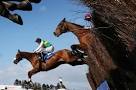 Grand National 2015: Big-race preview - Al Co looks right for.