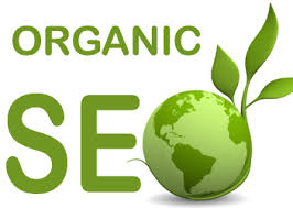 optimasi seo situs organik