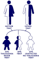 <b>thalassemia</b> society amravati