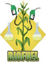 Biofuel Sign Posters - AllPosters.